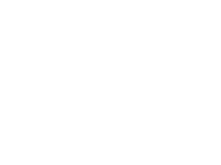 Default Logo